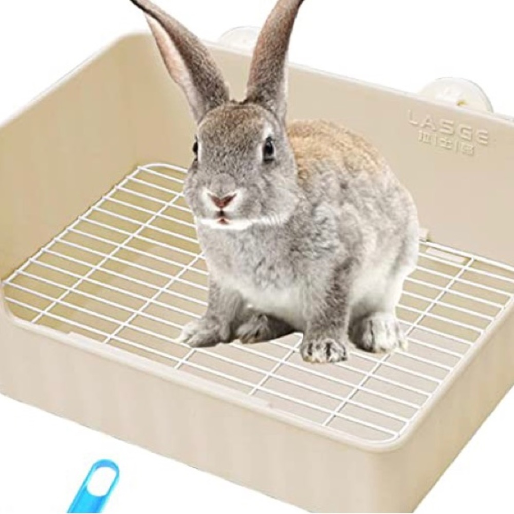 Small pets litter box and water bottle.